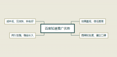 一文读懂百度知道问答推广营销